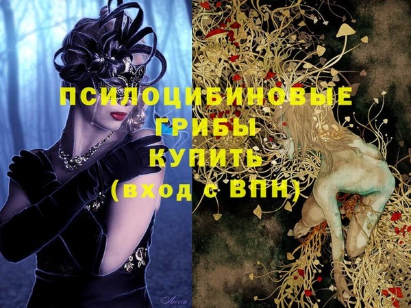 первитин Алексеевка