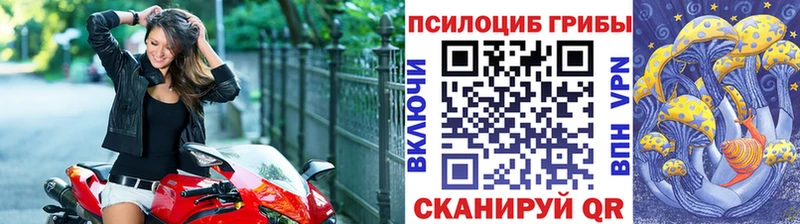 Псилоцибиновые грибы прущие грибы  Советская Гавань 