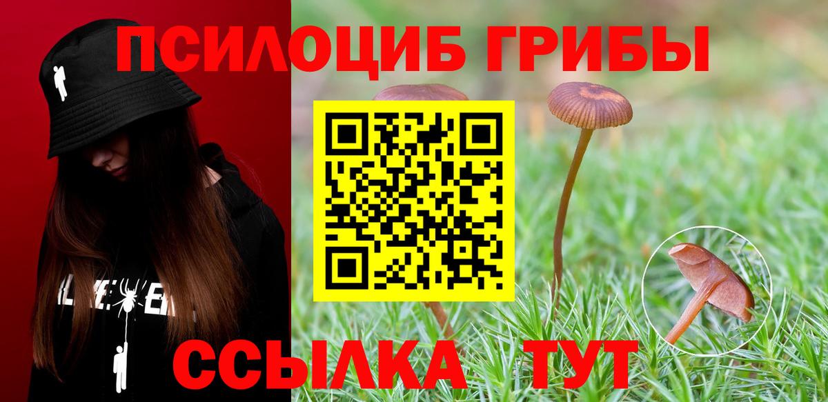 Галлюциногенные грибы мицелий Советская Гавань